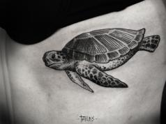 Значение татуировки черепаха Эскиз татуировки черепахи в контакте